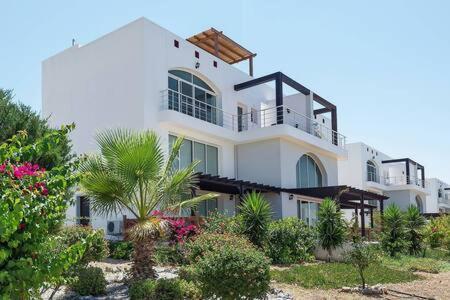 Joya Cyprus Mermaid Penthouse Apartment Agios Amvrosios  Zewnętrze zdjęcie